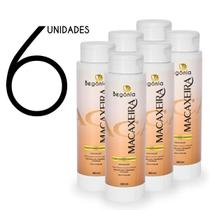 KIT Condicionador Begonia Macaxeira 400ml 6 Unds KIT Condicionador Begonia Macaxeira 400ml 6 Unds