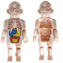 Kit Conhecendo Corpo Humano Infantil 13 peças LAB Com Acessórios Toyng