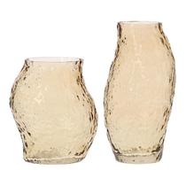 Kit Conjunto 2 Vasos Decorativos Orgânicos De Mesa Para Plantas Em Vidro