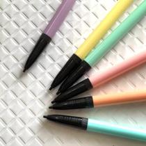 Kit conjunto 6 Lapiseiras escolar com borracha coloridas