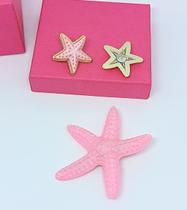 Kit Conjunto Par de Brincos estrela do Mar Resina colorido + Presilha de Cabelo bico de pato Prendedor Moda Praia Verão