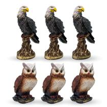 Kit Coruja Base M E Gavião No Tronco 22 Cm Em Gesso Espanta Pombo 6 Peças - VÁRIAS VARIEDADES Kit Coruja Base M E Gavião No Tronco 22 Cm Em Gesso Espanta Pombo 6 Peças - VÁRIAS VARIEDADES