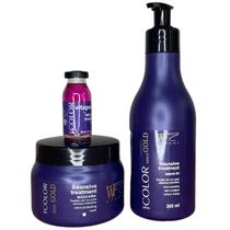 Kit Creme de Pentear, Máscara e Ampola para Cabelos Coloridos com Proteção Prolongada da Cor 562ml