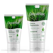 Kit Creme Depilatório Facial Buço Corporal Íntimo Perna Virilha Feminino Depilação Indolor Depilador Aloe Vera Depilflax
