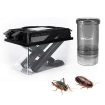 Kit Criador e Misturador de Grilos Repti Zoo para Répteis