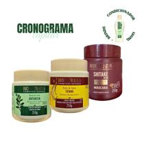 Kit Cronograma Capilar Bioextratus 750g (Jaborandi, Tutano, Shitake) + Cond Antiqueda150ml