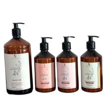 Kit Cronograma Capilar com Óleo de Patauá - 4 Passos Kit Cronograma Capilar com Óleo de Patauá - 4 Passos