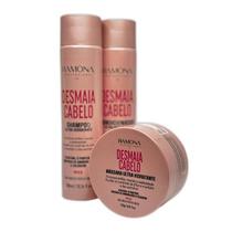 Kit Cronograma Capilar Desmaia Cabelo - Ramona Professional