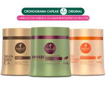 Kit Cronograma Capilar Haskell Reparador - 3 Produtos 500g