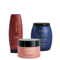 Kit Cronograma Capilar Pós Progressiva - Aneethun