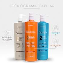 Kit cronograma capilar profissional essendy (3 produtos)