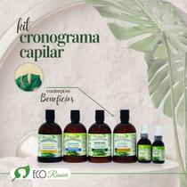 Kit Cronograma Capilar Tratamento Multifuncional Kit Cronograma Capilar Tratamento Multifuncional