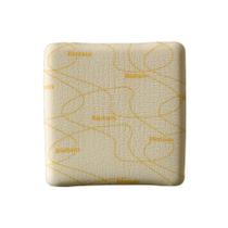 Kit Curativo Biatain Não Adesivo 15x15 - 5 Unidades Kit Curativo Biatain Não Adesivo 15x15 - 5 Unidades