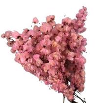 Kit de 10 bougainville - Flores Desidratadas Kit de 10 bougainville - Flores Desidratadas