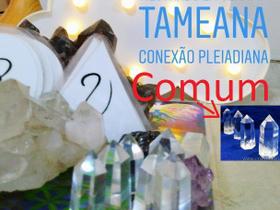 Kit de 10 Cristais para Curso de Tameana - Terapia Vibracional - Qualidade Comum - Atacado Kit de 10 Cristais para Curso de Tameana - Terapia Vibracional - Qualidade Comum - Atacado