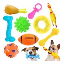 Kit de 12 Brinquedos Pet Mordedor Borracha para Cachorros Cães