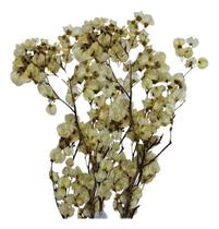 Kit De 3 Bougainville Branca - Flores Desidratadas