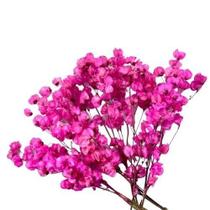 Kit de 5 bougainville - Flores Desidratadas