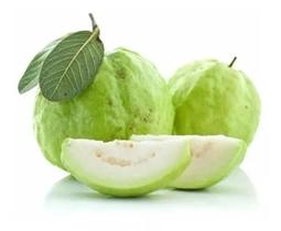 Kit De 5 Goiabas- Tailandesa, Paluma - amk