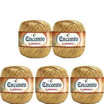 Kit de 5 Linhas Encanto Ouro 128 metros de 777 TEX e 100% Viscose Círculo para Crochê, Tricô e Bordado Kit de 5 Linhas Encanto Ouro 128 metros de 777 TEX e 100% Viscose Círculo para Crochê, Tricô e Bordado