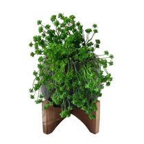 Kit de 8 Suculentas Artificial Sedum 36cm Kit Decorativo Realista Para Vasos e Jardins Verticais Kit de 8 Suculentas Artificial Sedum 36cm Kit Decorativo Realista Para Vasos e Jardins Verticais