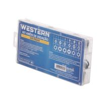 Kit De Anéis De Vedação Orings Estojo Com 225pc