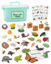 Kit de animais Science Toy Life Cycle 32 peças para crianças de 3 a 8 anos