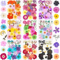 Kit de artesanato em resina xinxinran de flores secas prensadas 190 unidades