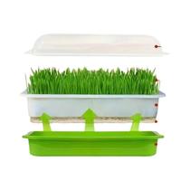 Kit De Bandejas De Germinação Para Sementes Com Tampa Para Hidroponia E Cultivo Sem Solo Para Jardim