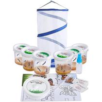 Kit de Borboletas Vivas Nature Gift Store 30 Lagartas 46 cm
