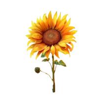 Kit De Bordado Em Diamante De Flor De Girassol Ao Pôr Do Sol DIY Completo Para Decoração De Casa Kit De Bordado Em Diamante De Flor De Girassol Ao Pôr Do Sol DIY Completo Para Decoração De Casa