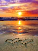 Kit De Bordar Completo: Tela Pintada Talagarça + Lã + Agulha + Manual...