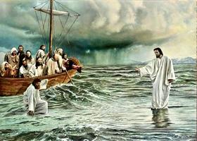 Kit De Bordar Completo: Tela Pintada Talagarça + Lã + Agulha + Manual...