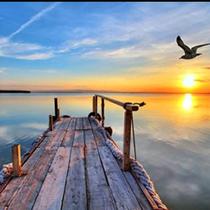 Kit De Bordar Completo: Tela Pintada Talagarça + Lã + Agulha + Manual...