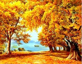 Kit De Bordar Completo: Tela Pintada Talagarça + Lã + Agulha + Manual...