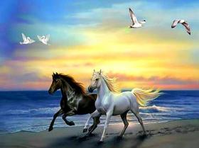 Kit De Bordar Completo: Tela Pintada Talagarça + Lã + Agulha + Manual...