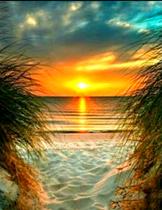 Kit De Bordar Completo: Tela Pintada Talagarça + Lã + Agulha + Manual...