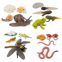 Kit de brinquedos para estatuetas Toymany Life Cycle of Frog Snail Earthworm Kit de brinquedos para estatuetas Toymany Life Cycle of Frog Snail Earthworm