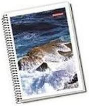 Kit De Cadernos Capa Dura 1 Matéria 96 Folhas- 10 Unidades