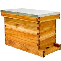 Kit de caixa Bee NUC Hiveaura Hive 5 Frame revestido com cera de abelha