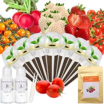 Kit de Cápsulas de Sementes apoloseedic Morango Vermelho Pineberry 7 Cápsulas Kit de Cápsulas de Sementes apoloseedic Morango Vermelho Pineberry 7 Cápsulas