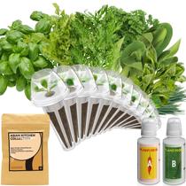 Kit de Cápsulas de Sementes de Ervas inbloom para Hidroponia AeroGarden Kit de Cápsulas de Sementes de Ervas inbloom para Hidroponia AeroGarden