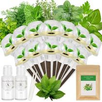 Kit de Cápsulas de Sementes de Ervas Majero 12 Cápsulas Compatível com Hidroponia Kit de Cápsulas de Sementes de Ervas Majero 12 Cápsulas Compatível com Hidroponia