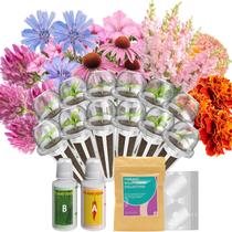 Kit de Cápsulas de Sementes de Flores inbloom com 12 Cápsulas Hidropônicas e Mais de 400 Sementes Kit de Cápsulas de Sementes de Flores inbloom com 12 Cápsulas Hidropônicas e Mais de 400 Sementes