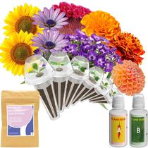 Kit de Cápsulas de Sementes de Flores inbloom com 7 Cápsulas e mais de 350 Sementes Kit de Cápsulas de Sementes de Flores inbloom com 7 Cápsulas e mais de 350 Sementes