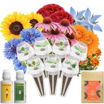 Kit de Cápsulas de Sementes de Flores inbloom com 7 Cápsulas e mais de 350 Sementes Kit de Cápsulas de Sementes de Flores inbloom com 7 Cápsulas e mais de 350 Sementes