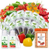 Kit de Cápsulas de Sementes de Morango HiHOYA, 14 Cápsulas, 600+ Sementes
