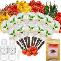 Kit de Cápsulas de Sementes de Tomate Majero Compatível com Hidroponia, 12 Cápsulas Kit de Cápsulas de Sementes de Tomate Majero Compatível com Hidroponia, 12 Cápsulas