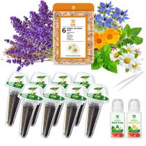 Kit de Cápsulas de Sementes HiHOYA 8 Cápsulas Lavanda, Camomila e Hortelã