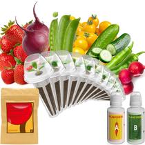 Kit de Cápsulas de Sementes inbloom com 12 Cápsulas e mais de 350 Sementes de Frutas e Vegetais Kit de Cápsulas de Sementes inbloom com 12 Cápsulas e mais de 350 Sementes de Frutas e Vegetais